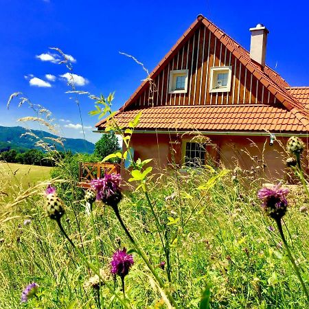 Hostal Kopanicky Dvor Hodruša Exterior foto