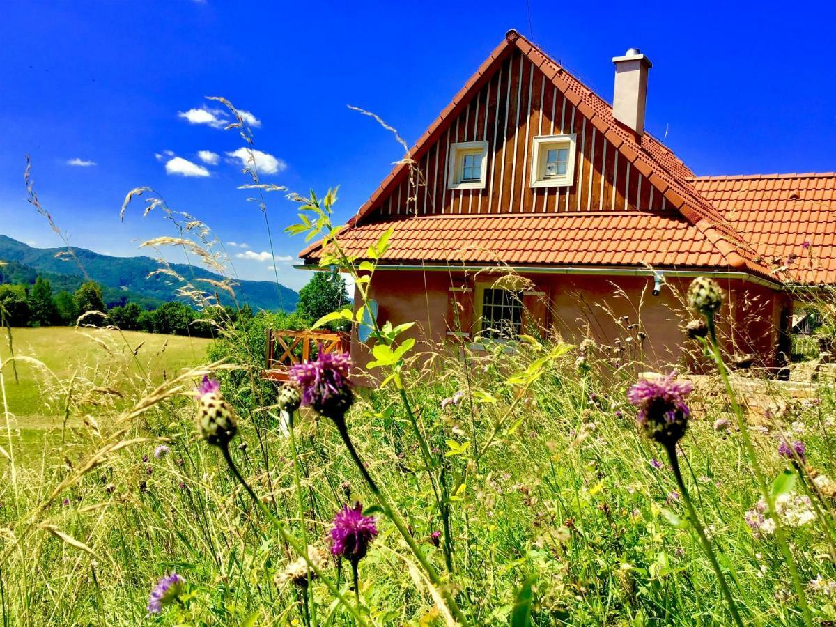 Hostal Kopanicky Dvor Hodruša Exterior foto