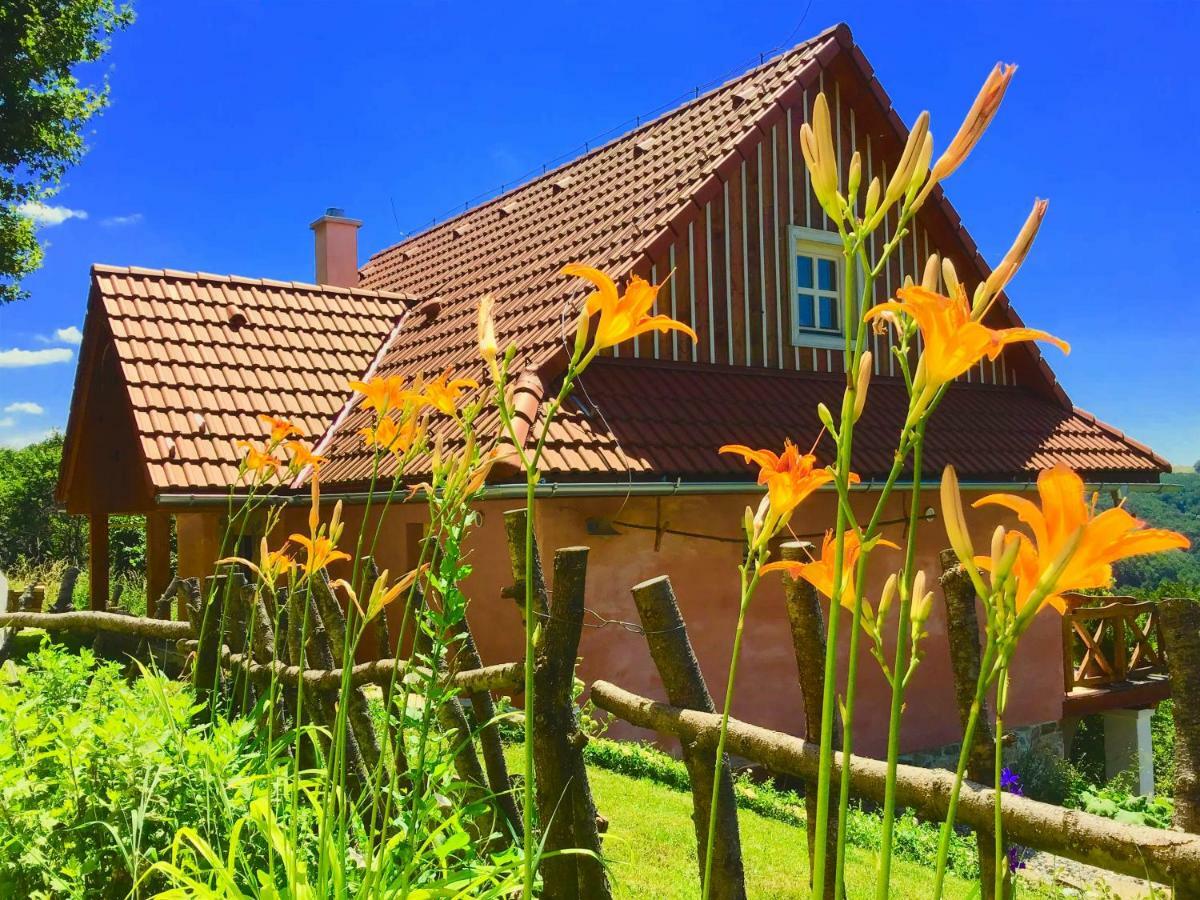Hostal Kopanicky Dvor Hodruša Exterior foto
